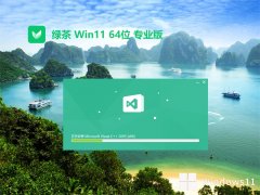 绿茶系统win11免激活64位可靠去广告版v2023.12