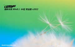 雨林木风win8.1 64位 免激活强大官网版v2022.06